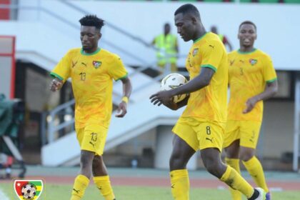 Eperviers du Togo