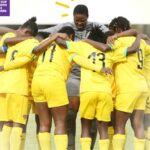 Éperviers dames; Togo