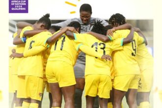 Éperviers dames; Togo