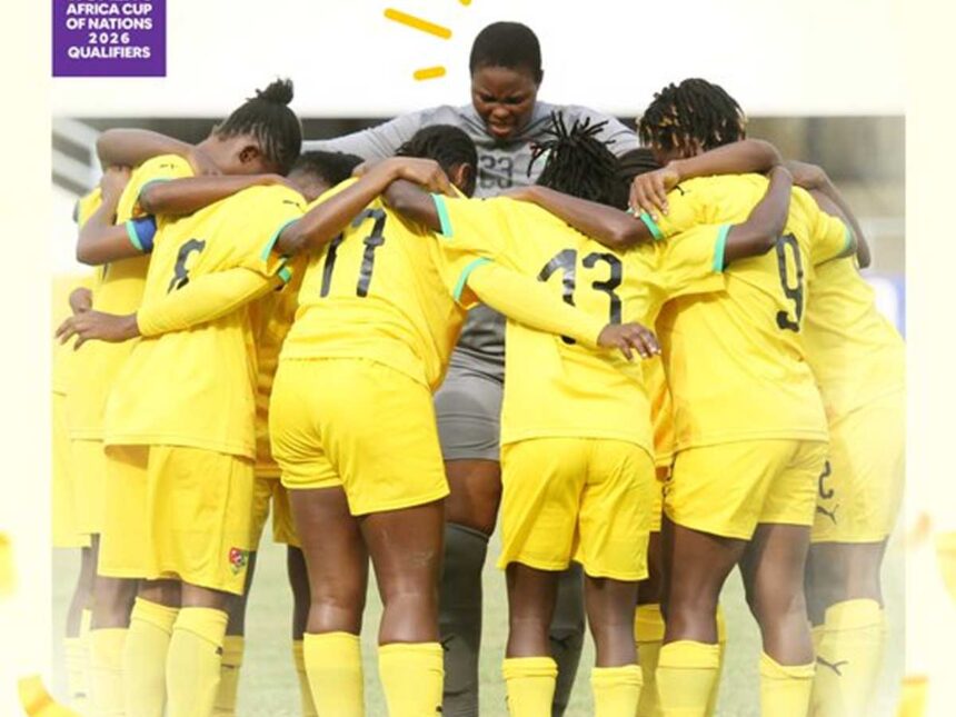 Éperviers dames; Togo